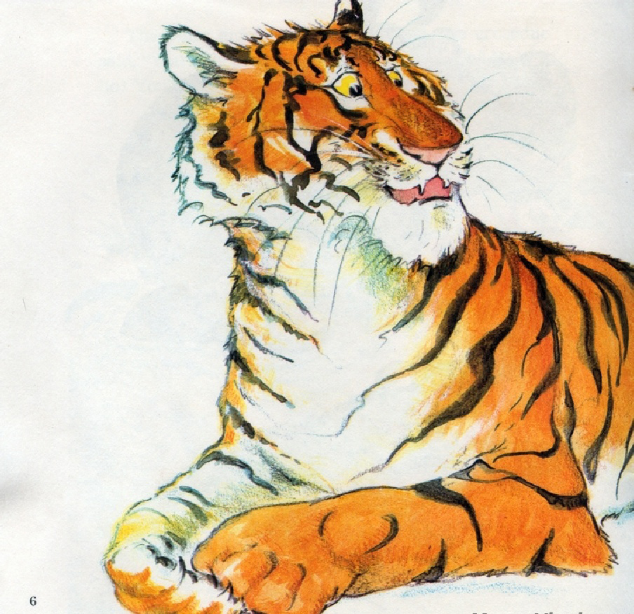 The Pussycat Tiger (08),绘本,绘本故事,绘本阅读,故事书,童书,图画书,课外阅读